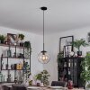 Gastor Lámparas suspendidas, Luminarias esféricas 25 cm Transparente, 1 luz