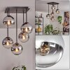 Gastor Plafones, Luminarias esféricas Cromo, Transparente, Ahumado, 5 luces