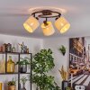 Bassagoda Plafones Negro, 3 luces