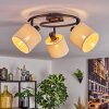 Bassagoda Plafones Negro, 3 luces