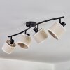 Bassagoda Plafones Negro, 4 luces