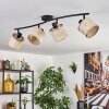 Bassagoda Plafones Negro, 4 luces