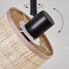 Bassagoda Plafones Negro, 4 luces