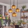 Koyoto Lámparas suspendidas, Luminarias esféricas 35 cm dorado, Transparente, 4 luces