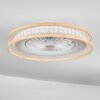 Benasal Plafones, lámpara ventilador de techo Crudo, Blanca, 1 luz, Mando a distancia