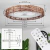 Benasal Plafones, lámpara ventilador de techo Crudo, Blanca, 1 luz, Mando a distancia
