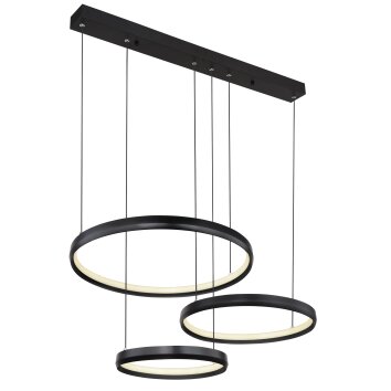 Lámparas Globo Lighting HALLI Lámparas suspendidas LED Negro, 1 luz