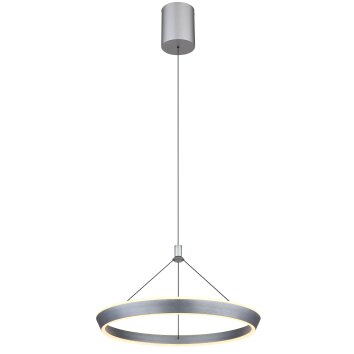 Lámparas Globo Lighting FERRA Lámparas suspendidas LED Gris, 1 luz