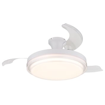 Lámparas Globo Lighting Beliz lámpara ventilador de techo LED Blanca, 1 luz, Mando a distancia