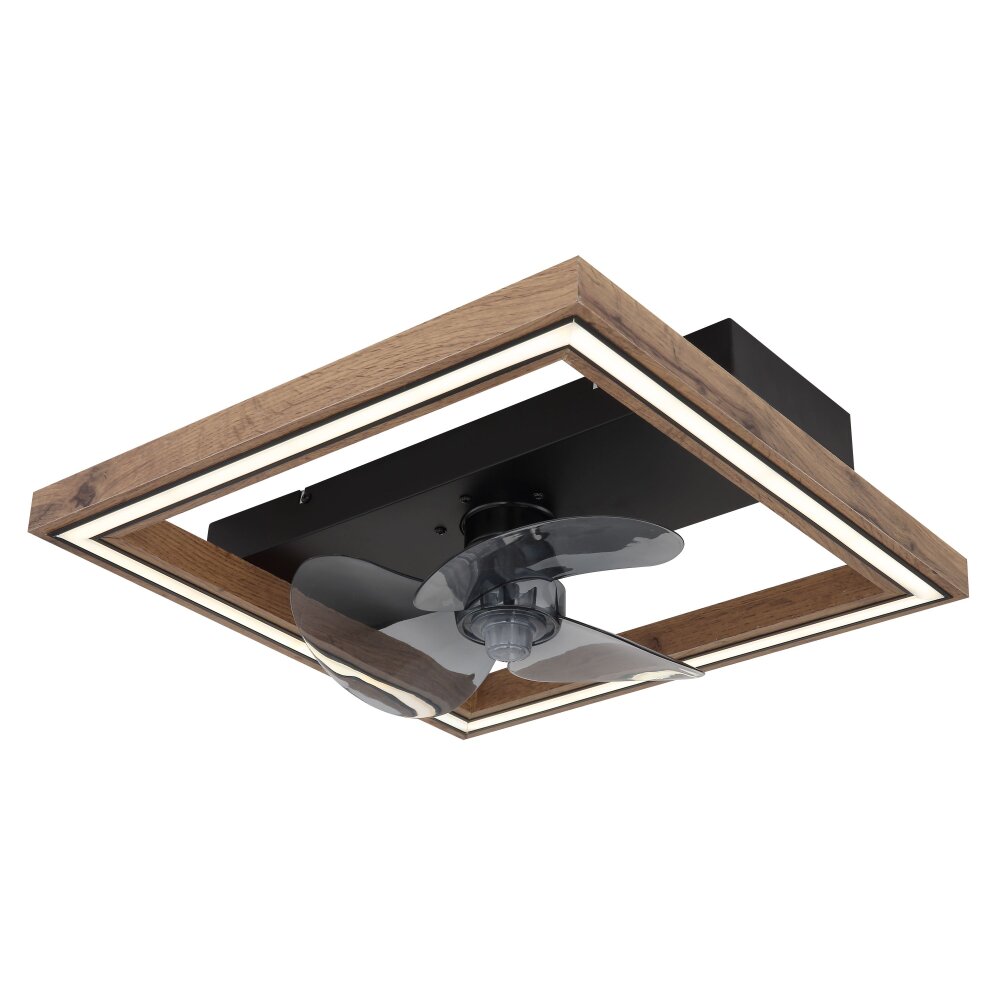 Lámparas Globo Lighting Celinata lámpara ventilador de techo LED Negro, 1 luz, Mando a distancia main product photo