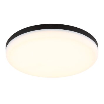 Lámparas Globo Lighting Matthew Plafones LED Negro, 1 luz