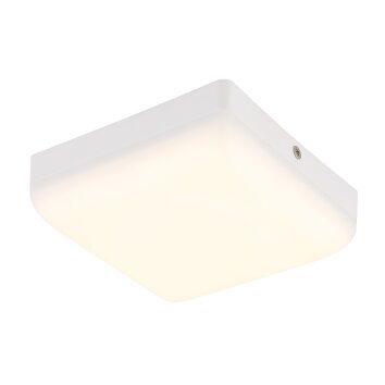 Lámparas Globo Lighting Matthew Plafones LED Blanca, 1 luz