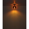Lámparas Globo Lighting Maxy Plafones Cromo, Negro, 1 luz