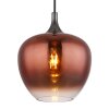 Lámparas Globo Lighting Maxy Lámparas suspendidas Cromo, Negro, 1 luz