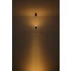 Lámparas Globo Lighting Alvarado Lámparas suspendidas LED Negro, 1 luz