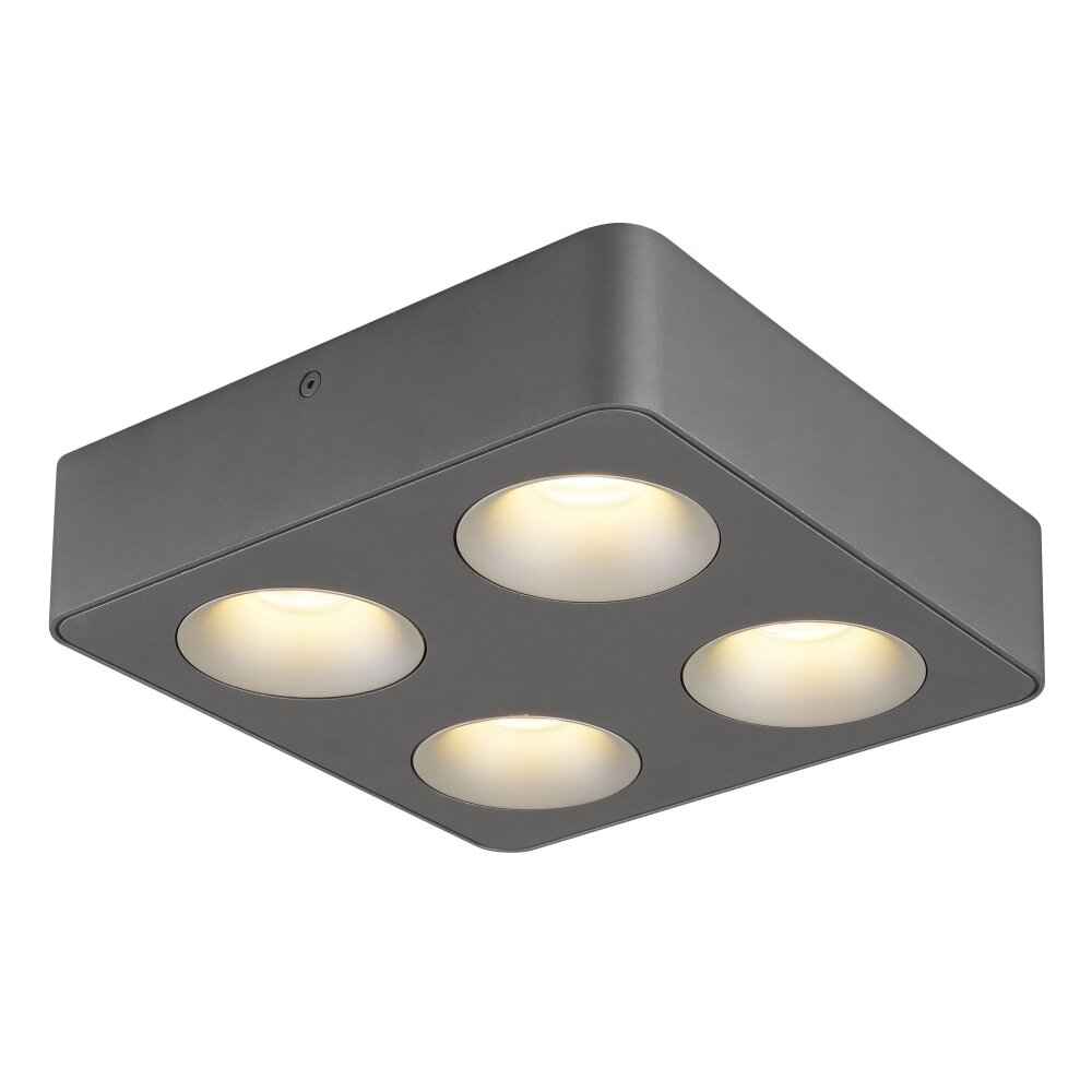 Lámparas Globo Lighting Hangarau Plafones LED Gris, 1 luz main product photo