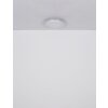 Lámparas Globo Lighting Abigail Plafones LED Blanca, 1 luz