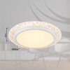 Lámparas Globo Lighting Abigail Plafones LED Blanca, 1 luz