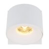 Lámparas Globo Lighting Rae Plafones LED Blanca, 1 luz