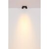 Lámparas Globo Lighting Rae Plafones LED Negro, 2 luces