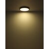 Lámparas Globo Lighting Suna Plafones LED Negro, 1 luz, Mando a distancia