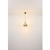 Lámparas Globo Lighting Firefly Lámparas suspendidas LED Negro, 1 luz