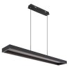 Lámparas Globo Lighting Sola Lámparas suspendidas LED Negro, 1 luz, Mando a distancia