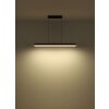 Lámparas Globo Lighting Sola Lámparas suspendidas LED Negro, 1 luz, Mando a distancia