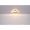 Lámparas Globo Lighting Heda Plafones LED Plata, 1 luz
