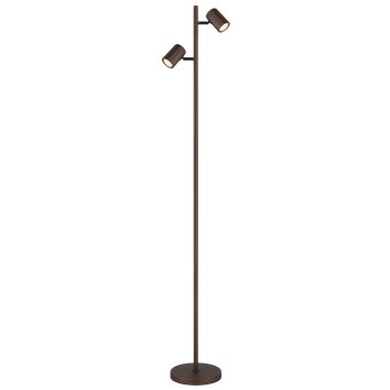 Lámparas Globo Lighting James Lámpara de pie Bronce, 2 luces
