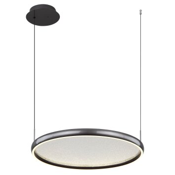 Lámparas Globo Lighting Briggs Lámparas suspendidas LED Negro, 1 luz, Mando a distancia