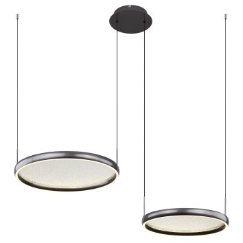 Lámparas Globo Lighting Briggs Lámparas suspendidas LED Negro, 1 luz, Mando a distancia