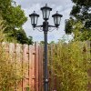 Loria Iluminación exterior, Candelabro, Iluminación de caminos Negro, 3 luces