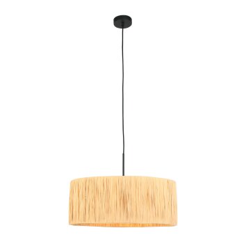 Lámparas Steinhauer Light Lámparas colgantes Negro, 1 luz