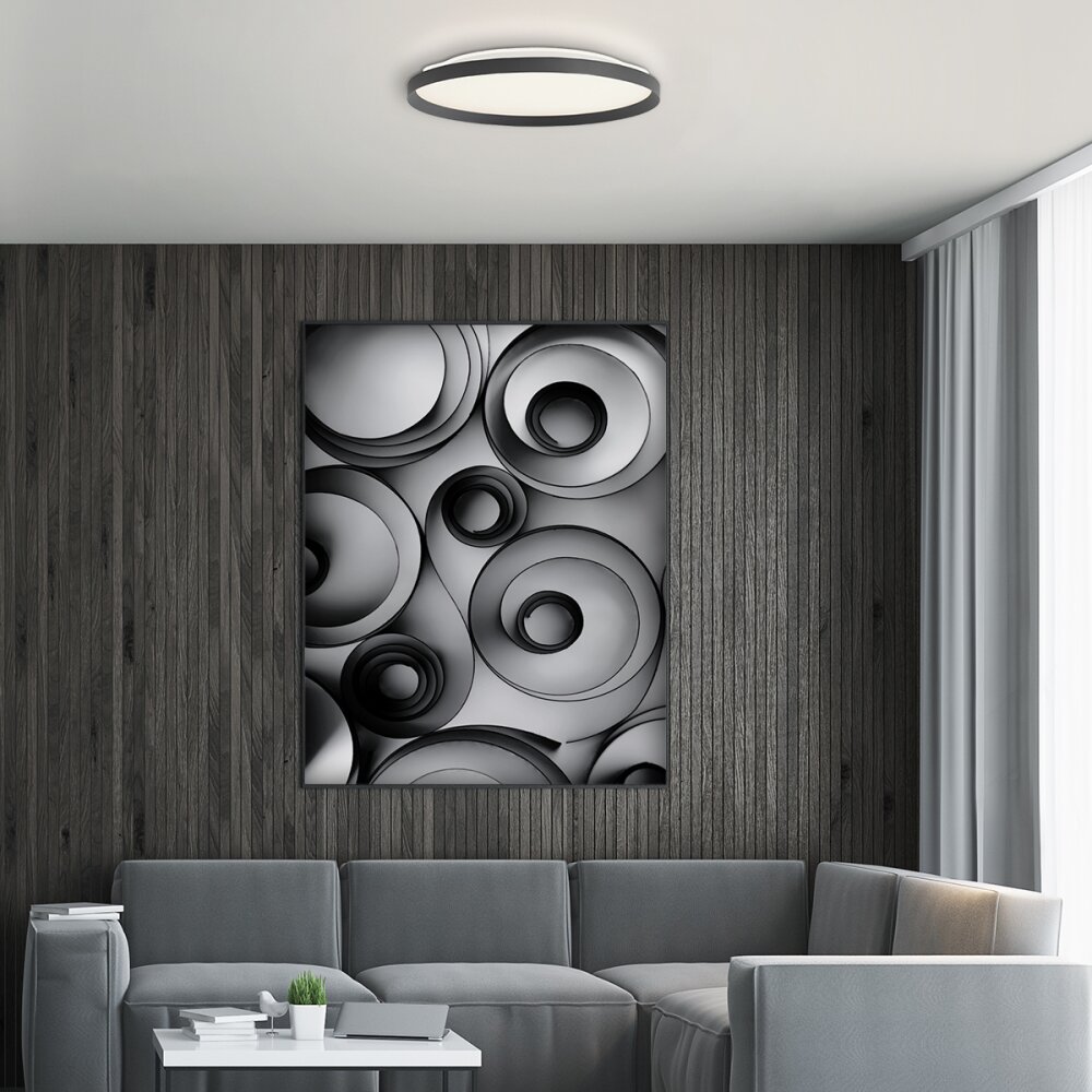 Lámparas Steinhauer Flady Plafones LED Negro, 2 luces main product photo