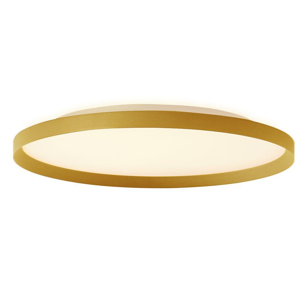 Lámparas Steinhauer Flady Plafones LED dorado, 2 luces main product photo