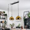 Gastor Lámparas suspendidas, Luminarias esféricas, Lámparas colgantes dorado, Transparente, 2 luces