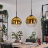 Gastor Lámparas suspendidas, Luminarias esféricas, Lámparas colgantes dorado, Transparente, 2 luces