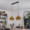 Gastor Lámparas suspendidas, Luminarias esféricas, Lámparas colgantes dorado, Transparente, 2 luces