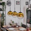 Gastor Lámparas suspendidas, Luminarias esféricas, Lámparas colgantes dorado, Transparente, 3 luces