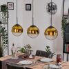 Gastor Lámparas suspendidas, Luminarias esféricas, Lámparas colgantes dorado, Transparente, 3 luces