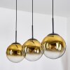 Gastor Lámparas suspendidas, Luminarias esféricas, Lámparas colgantes dorado, Transparente, 3 luces