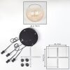 Koyoto Lámparas suspendidas, Luminarias esféricas, Lámparas colgantes Colores ámbar, Transparente, 4 luces