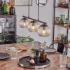 Koyoto Lámparas suspendidas, Luminarias esféricas, Lámparas colgantes Transparente, 3 luces