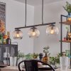 Koyoto Lámparas suspendidas, Luminarias esféricas, Lámparas colgantes Transparente, 3 luces