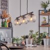 Koyoto Lámparas suspendidas, Luminarias esféricas, Lámparas colgantes Transparente, 3 luces