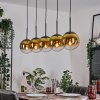 Gastor Lámparas suspendidas, Luminarias esféricas, Lámparas colgantes dorado, Transparente, 5 luces