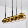 Gastor Lámparas suspendidas, Luminarias esféricas, Lámparas colgantes dorado, Transparente, 5 luces