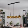 Gastor Lámparas suspendidas, Luminarias esféricas, Lámparas colgantes dorado, Transparente, 5 luces