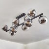 Gastor Plafones, Luminarias esféricas Cromo, Transparente, Ahumado, 10 luces